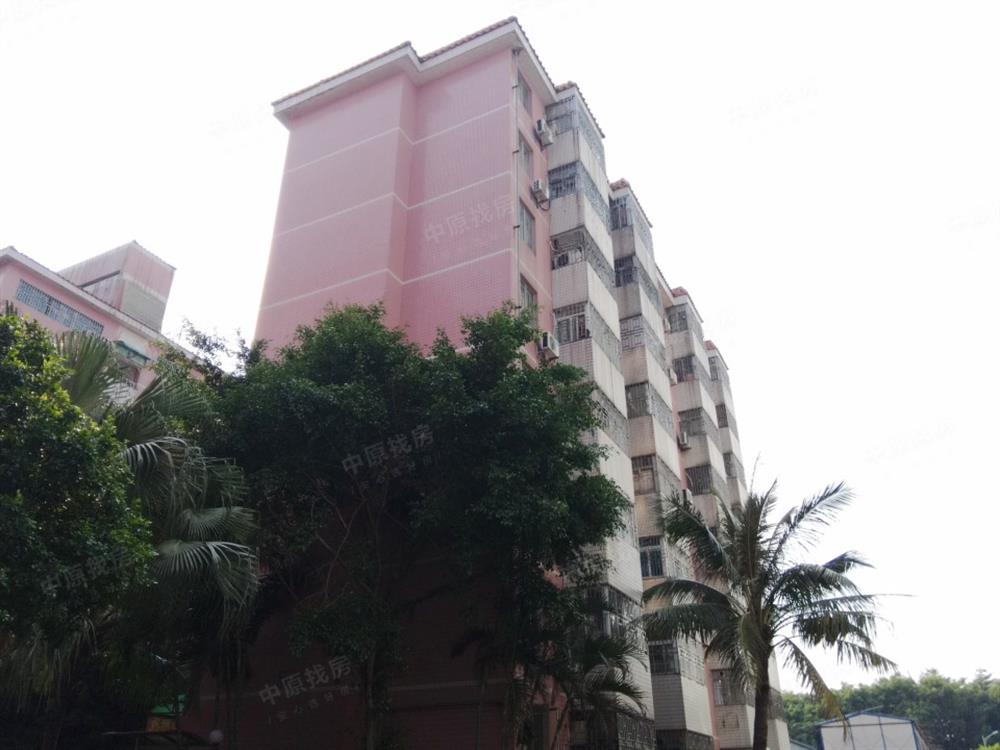 丰泽园 实用小三房 无税安静 近公园学校