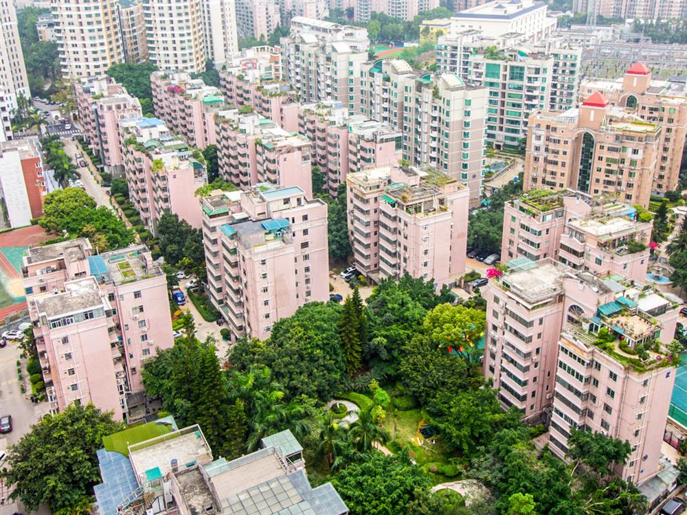 新港鸿花园