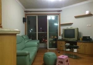 深圳河套区，福田口岸东北向三房，视野开阔无遮挡