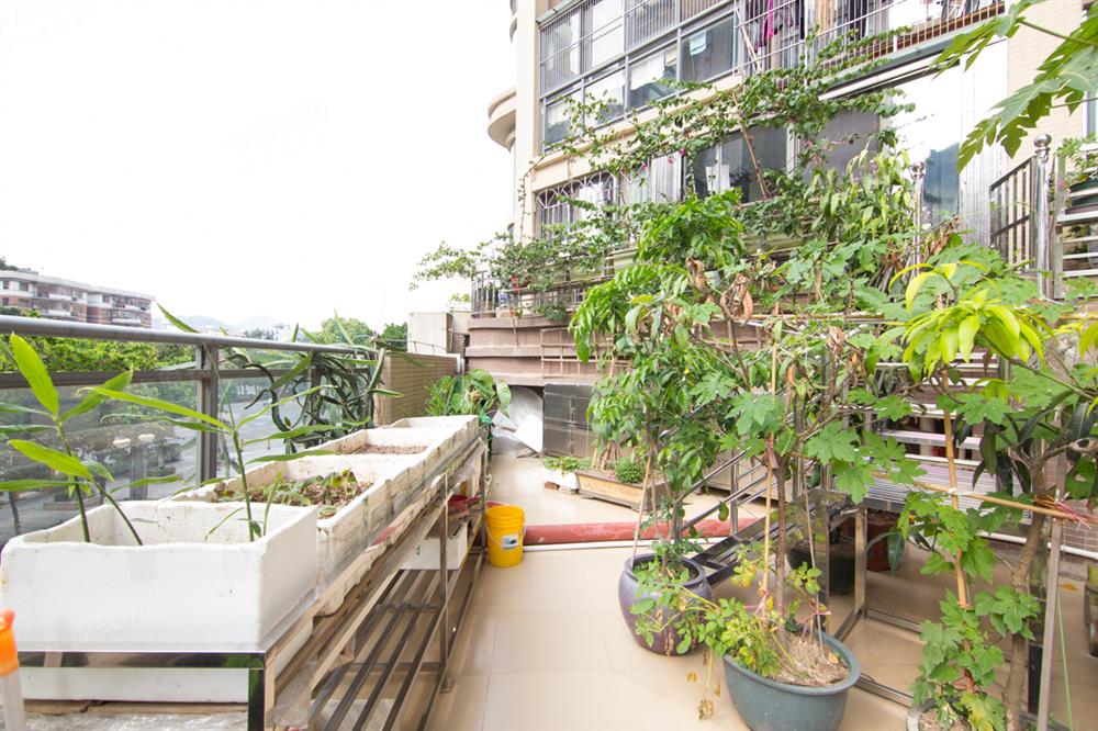 勤诚达22世纪(和园)