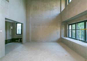 小区地处前海自贸区桂湾片区