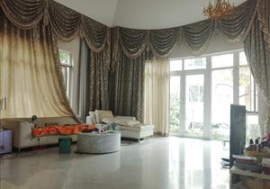 蛇口独栋别墅出售