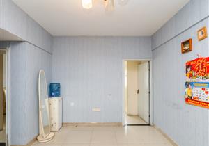 莲花山公园、香蜜湖公园、景田市政公园