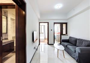 坪山地铁口，精装修，正南向，采光好，拎包入住