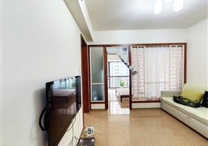 前海自贸区标准小两房，户型方正，地铁口物业