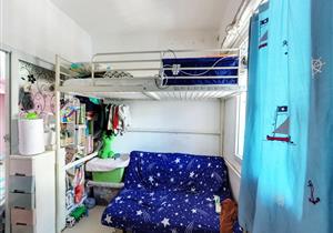 环境优美环境优