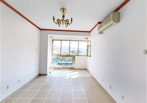 3号14号双地铁沿线物业怡乐花园电梯三房满56急售