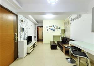 城市天地广场2房，万象城商圈成熟，精装修，拎包入住，诚心可刀