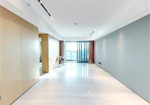 南山华侨城好房