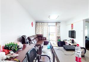 洪湖公园旁 洪湖东岸两房出售 满5年唯 近地铁