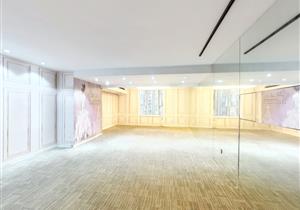 京基100旁边低总价好房，精装修，看房方便