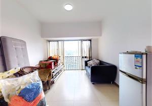 龙岗精致两房酒店式公寓万科广场万科里世贸百货地铁3号线爱联站