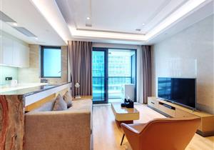 前海壹号公寓 高档小区 人文荟萃 高品质的象征 精装