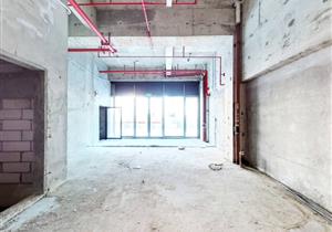 海景别墅！东南朝向！海景漂亮！看公园广场！