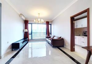 福田宝生次新红本满五精装视野开阔车位足税费少双地铁使用率高