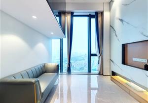 罗湖城芯不限购不限贷 肆地铁  看房 探底价私信我助您置好物