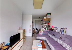 精装三房，满五年，南向，看房预约