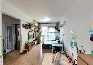 海岸城旁边好房子