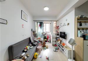 南向两房，高使用，看花园，安静