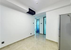 近东门近国贸，湖贝地铁口物业，紧挨华润湖贝旧改项目，