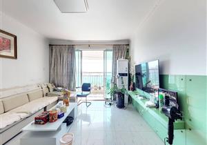 金地开发管理 高层南向3加1房 红本五年