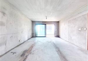 2.0低密度高端住宅专梯入户南北通透