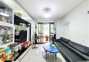 桃源居4区，近地铁，读书拐弯就到，环境优美，急售