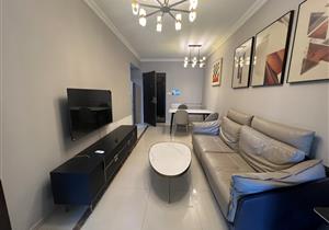 岗厦地铁口，业主换房出售，看房方便，次新房