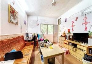 沙中旁，近地铁口，步梯两房