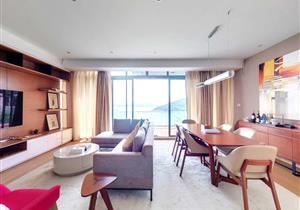 万科海景别墅，装修好，视野开阔，小区带私家沙滩