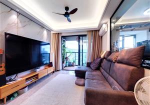 14号线锦龙地铁口，业主急卖，装修豪华