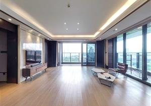 豪华装修，业主诚意卖，看房方便，价格好谈，看一线华侨城湿地景