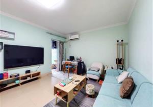 区政府旁边，大2房，深高盐书包，看房方便