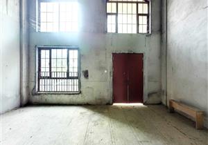 有天有地由你掌控！原始毛坯，庄园级，大别墅