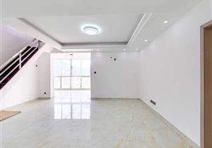 盐田中金港盛世的复试大宅