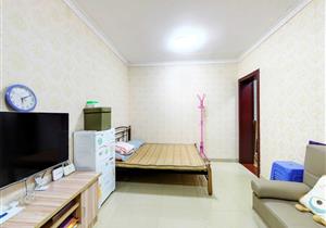 泰宁花园 46平1房1厅 全新精装  中间楼层