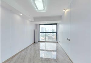 双地铁口物业 大悦城商圈 户型方正