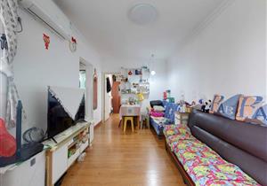 自住户型好保养不错朝东无遮挡