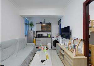 布吉关口小两房，双地铁，高楼层，精装修