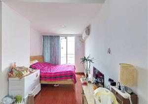 罗湖口岸高铁 火车 地铁汇集—双城世纪32平，一流景观有钥匙