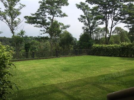 观澜湖汉士达二区-其他