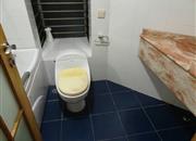 金地海景花园D区-卫生间