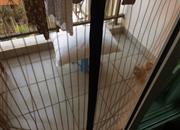 益田花园豪园居-阳台