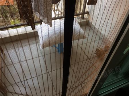 益田花园豪园居-阳台