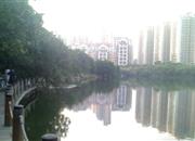 锦绣花园二期-环境绿化