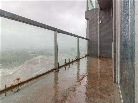 四季御园（新世界四季御园）-阳台