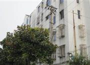 桂苑小区-远景图