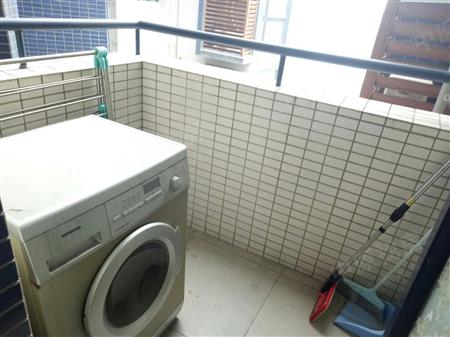 半岛城邦花园一期-其他