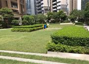 大冲城市花园-环境绿化