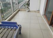 金地上塘道花园-阳台